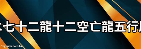 屬龍的五行|生肖龍五行屬什麼？